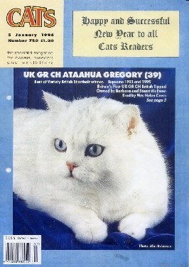 Grangfather of british cat Greendale Sargeant Pepper